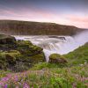 Island / Sommer - Landschaft & Wildlife