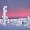 Finnland-Lappland - Landschaft