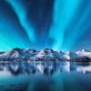 Lofoten / Polarlicht - Landschaft