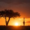 Namibia