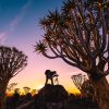 Namibia