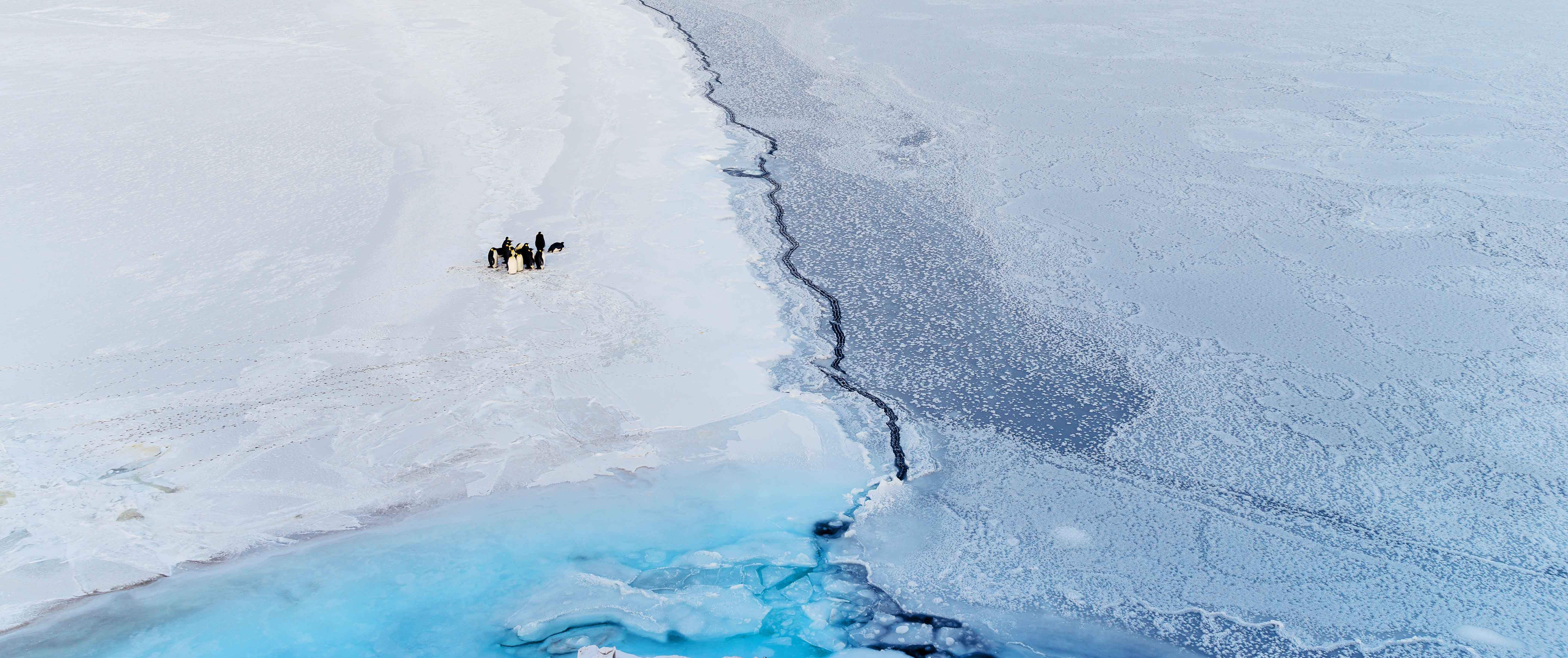 Ross Sea